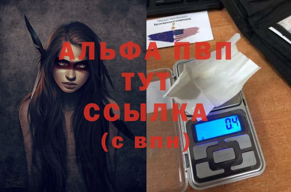 ECSTASY Инсар